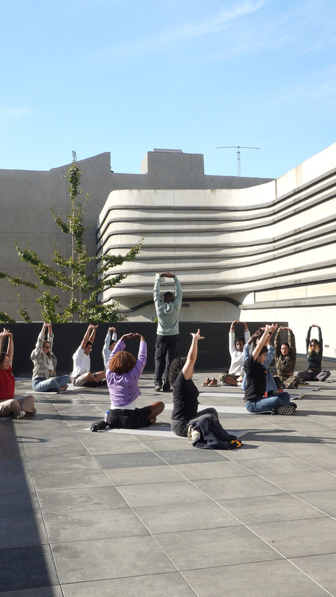 Wellness & Healing